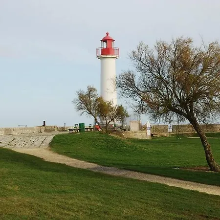 Le Baleineau Au Coeur De Martin De Re