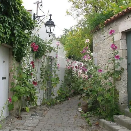 Le Baleineau Au Coeur De Martin De Re *