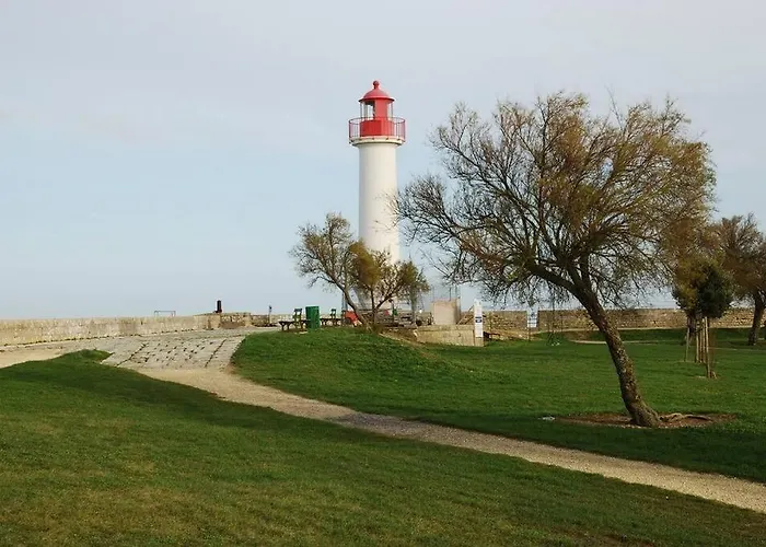 Le Baleineau Au Cœur De Martin De Ré