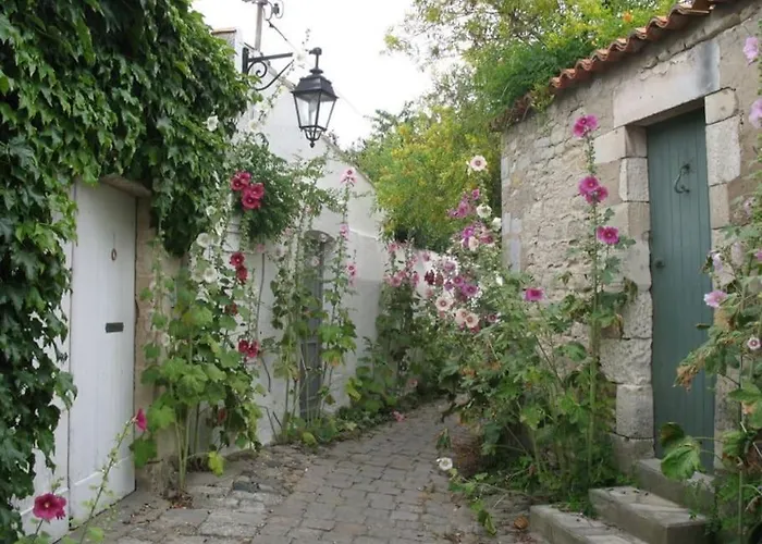 Le Baleineau Au Cœur De Martin De Ré *